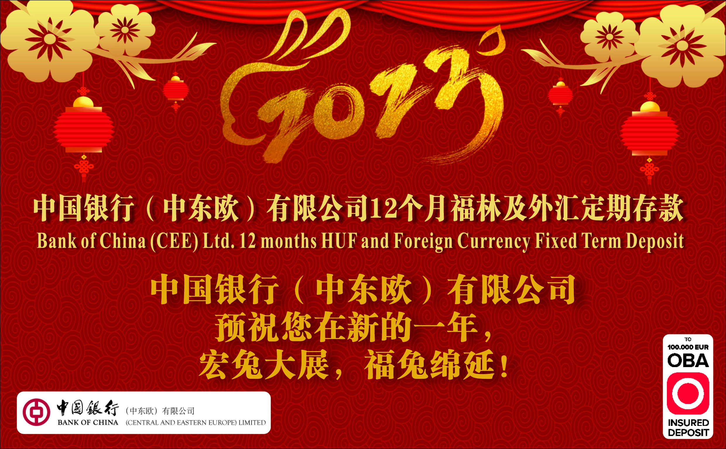 中国银行（中东欧）有限公司12个月福林及外汇定期存款