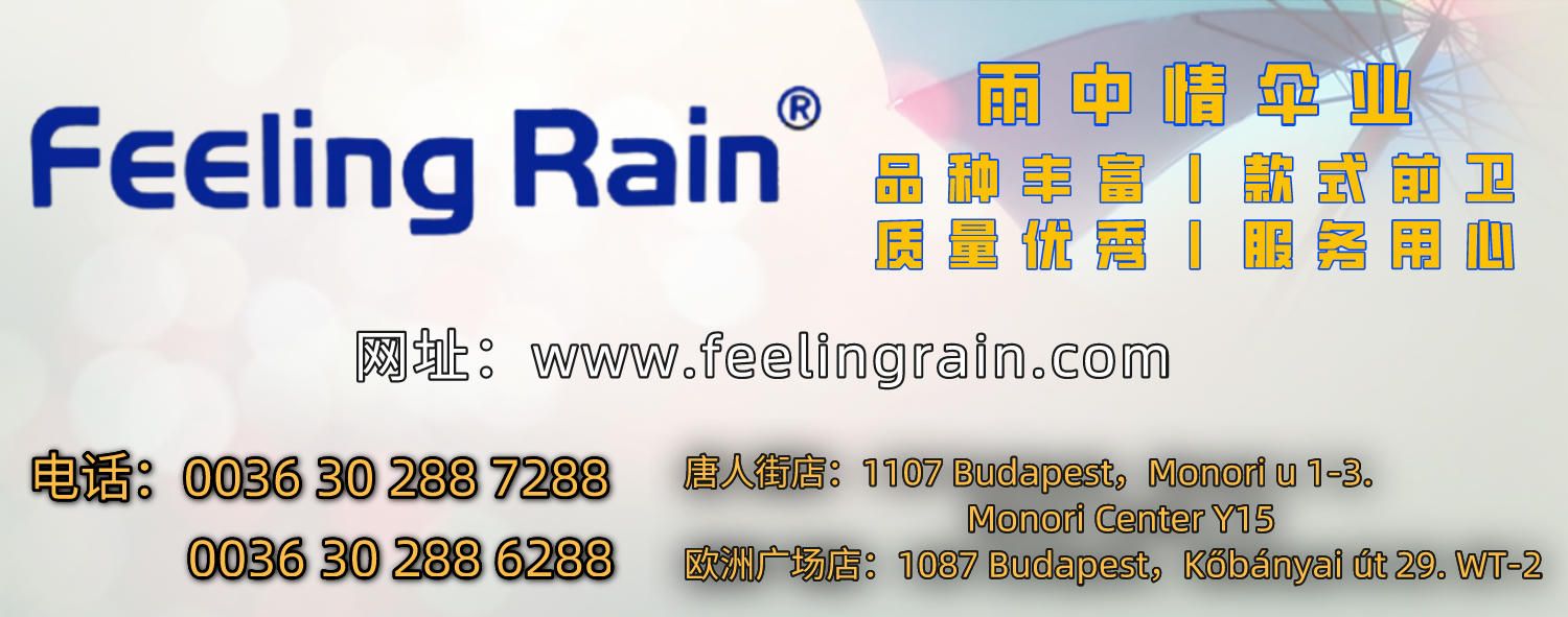 欧元标价，福林结算——商家利用高汇率赚价差