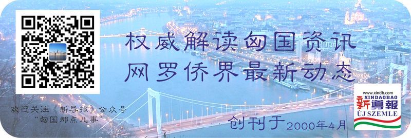 Sweet Harmony: Hungarian Lishui Qingtian Hometown Association Spreads Joy with Mooncake Distribution