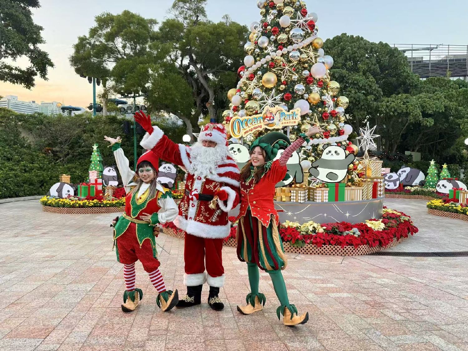 一签多行”吸引游客到香港感受圣诞氛围
